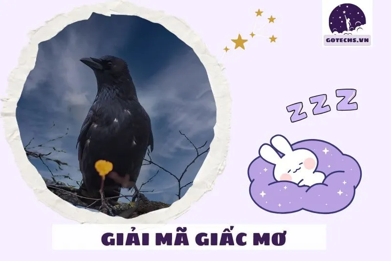 Cách hóa giải điềm xấu khi mơ thấy bầy quạ đen