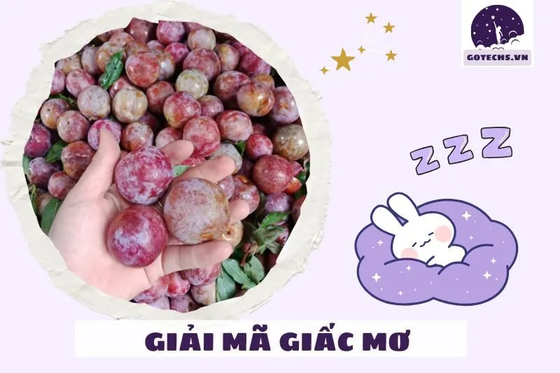Điềm Báo Từ Giấc Mơ Thấy Mận Xanh Và Mận Thối