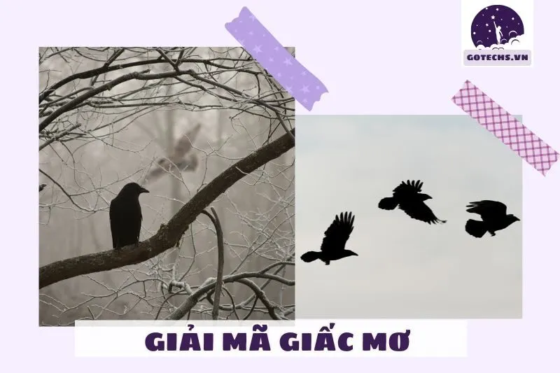 Giải mã chi tiết các tình huống khi nằm mơ thấy bầy quạ đen