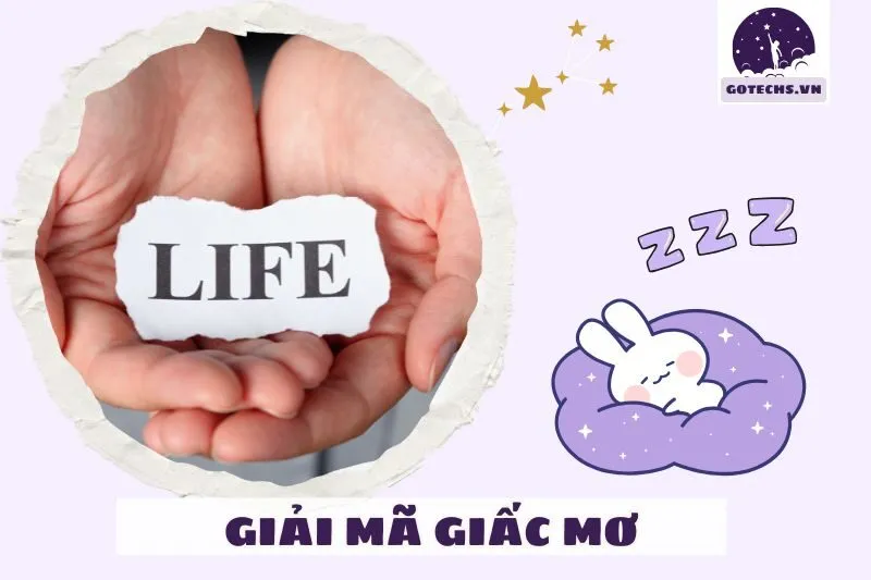 Liên Quan Đến Công Việc Và Cuộc Sống Không?