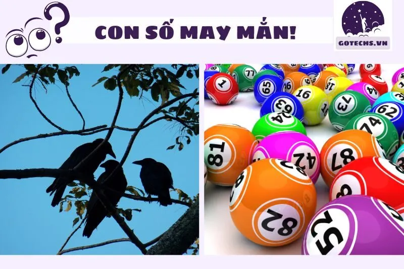 Mơ thấy bầy quạ đen và con số may mắn