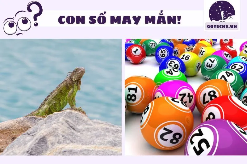 Mơ thấy kỳ nhông đánh con gì?