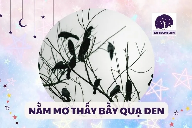 NẰM MƠ THẤY BẦY QUẠ ĐEN
