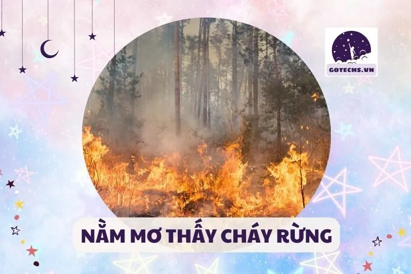 NẰM MƠ THẤY CHÁY RỪNG