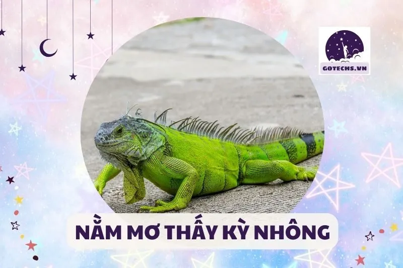 NẰM MƠ THẤY KỲ NHÔNG