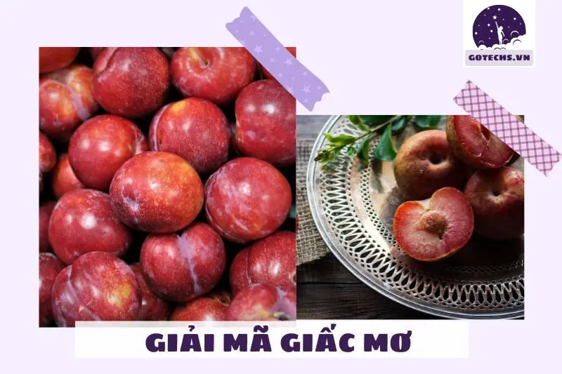 Nằm Mơ Thấy Quả Mận Mang Điềm Báo Gì?