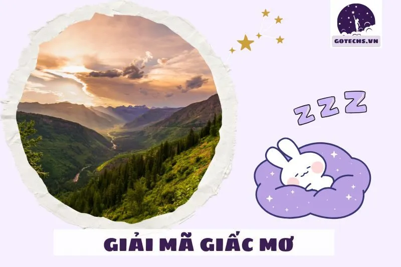 Nằm mơ thấy rừng là điềm tốt hay xấu?