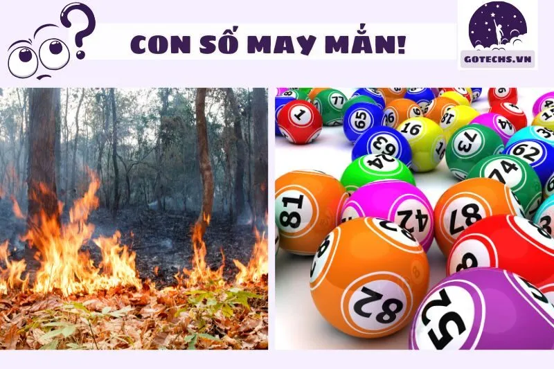 Những con số may mắn liên quan đến giấc mơ cháy rừng