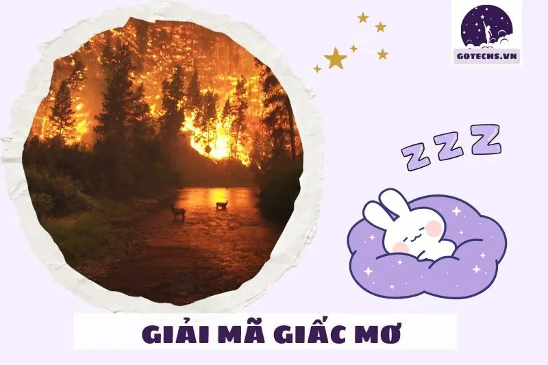 Những trường hợp phổ biến khi mơ thấy cháy rừng