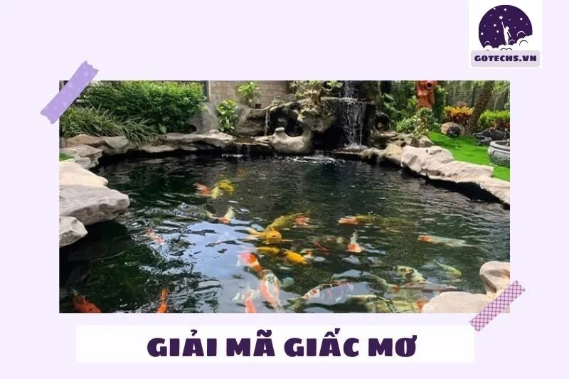 Ý nghĩa của việc nằm mơ thấy ao hồ