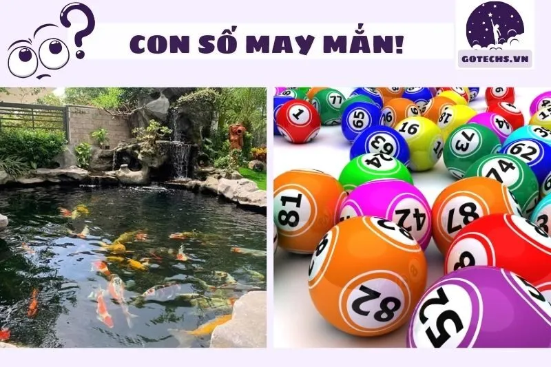 Con số may mắn liên quan đến giấc mơ ao hồ