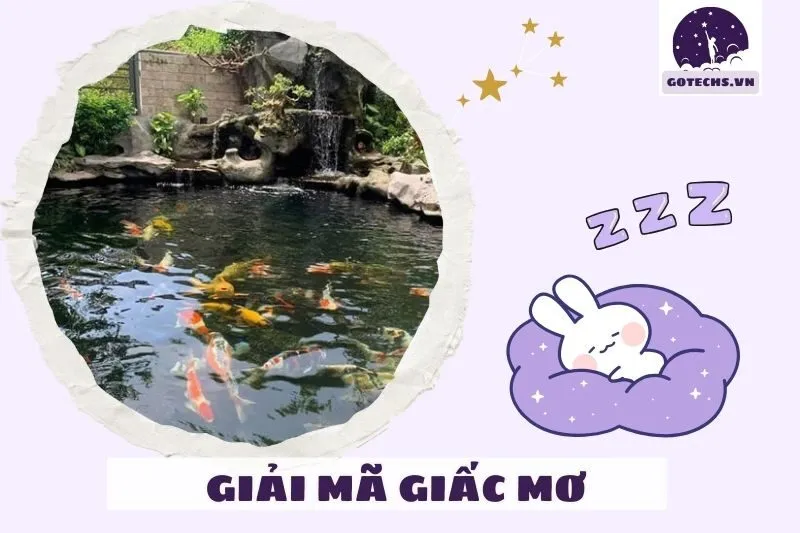 Tình huống cụ thể trong giấc mơ ao hồ