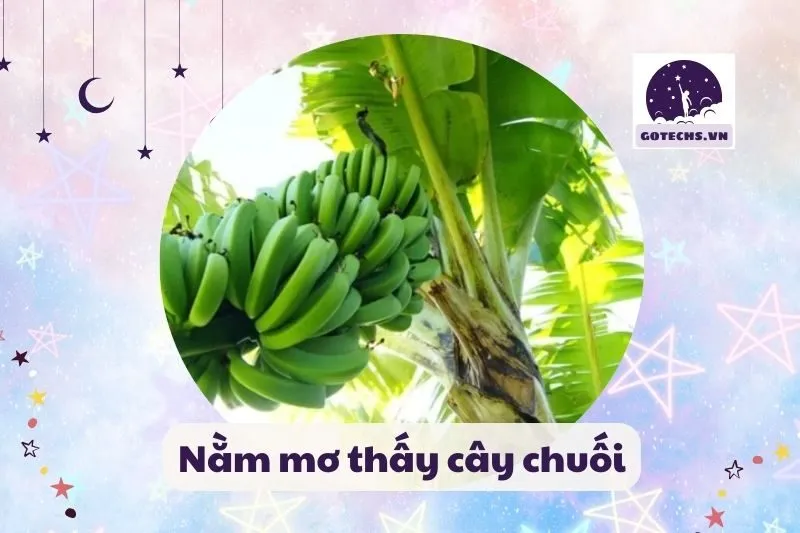 Nằm mơ thấy cây chuối: