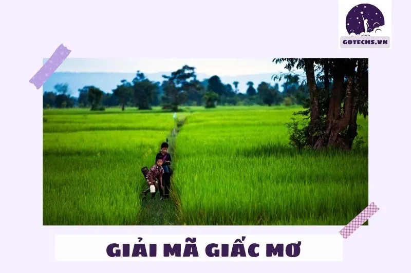 Ý nghĩa của việc nằm mơ thấy cánh đồng