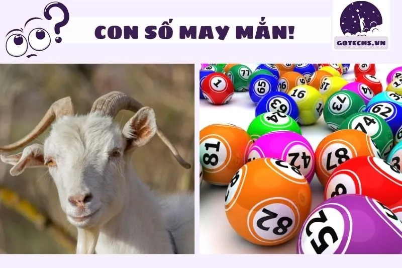 Các con số may mắn liên quan đến nằm mơ thấy dê