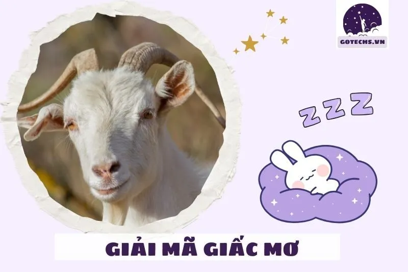 Kinh nghiệm thực tế và câu chuyện từ người khác