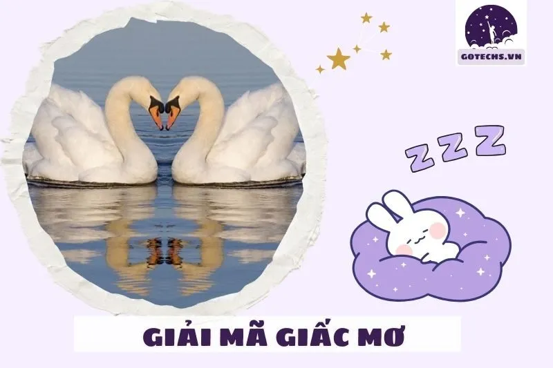 Các tình huống cụ thể trong giấc mơ thấy thiên nga