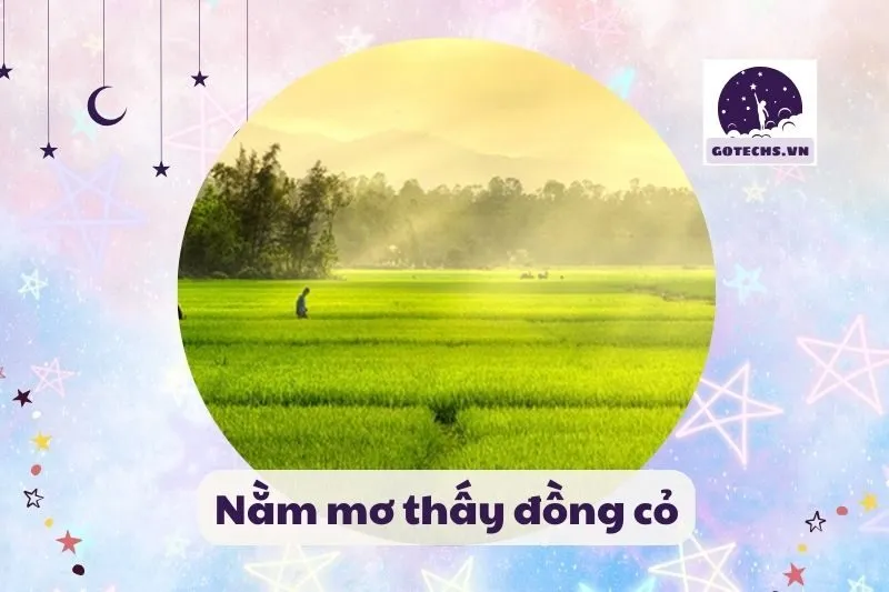 nằm mơ thấy đồng cỏ
