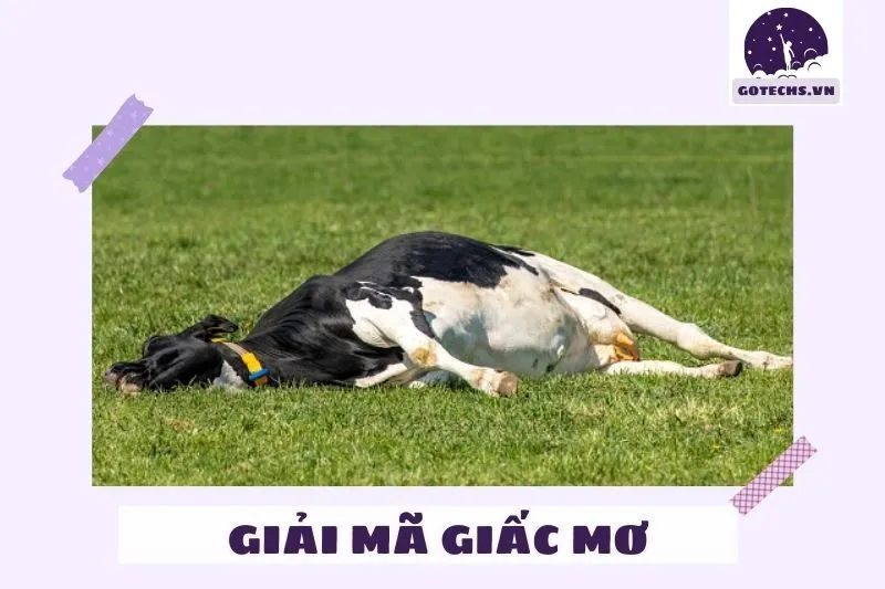 Ý nghĩa của nằm mơ thấy đồng cỏ