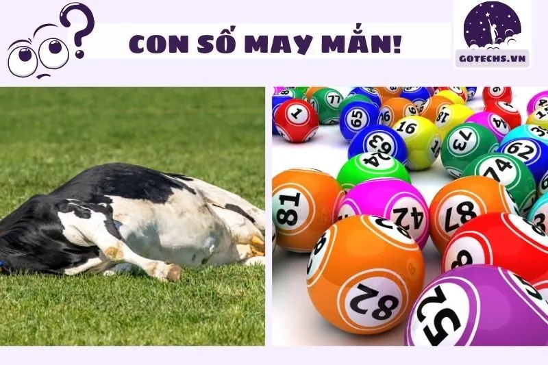 Con số may mắn liên quan đến nằm mơ thấy đồng cỏ