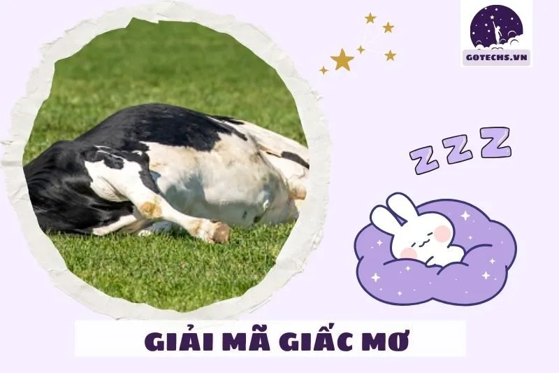 Cách giải quyết các vấn đề từ giấc mơ thấy đồng cỏ