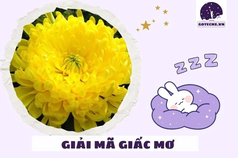 Các cách cải thiện vận may qua giấc mơ