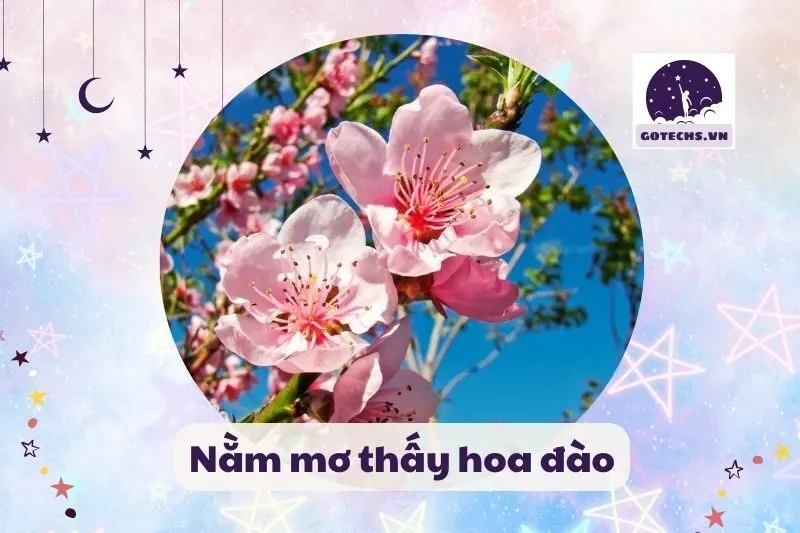 nằm mơ thấy hoa đào
