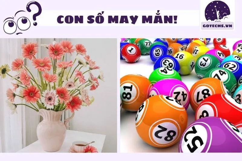 Con số may mắn liên quan đến giấc mơ hoa đồng tiền