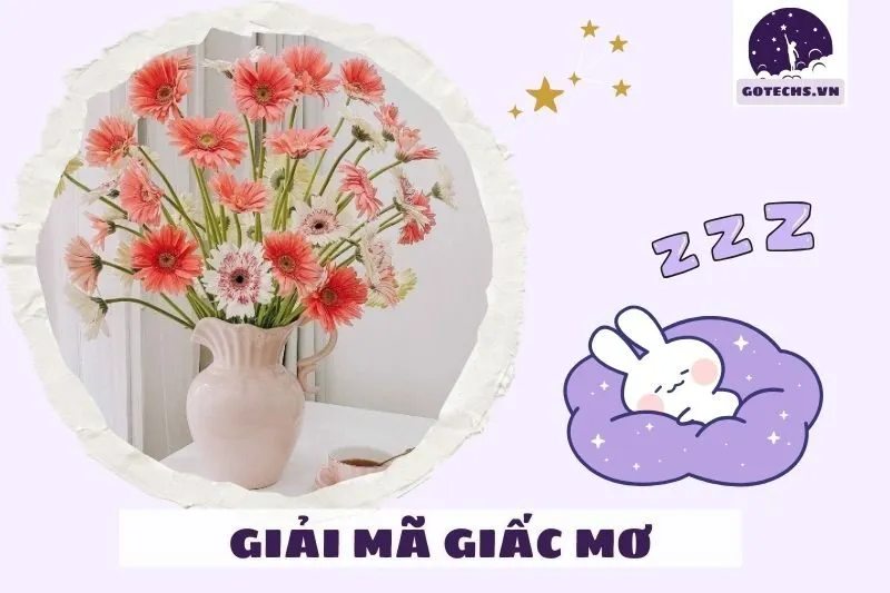 Các trường hợp cụ thể khi mơ thấy hoa đồng tiền