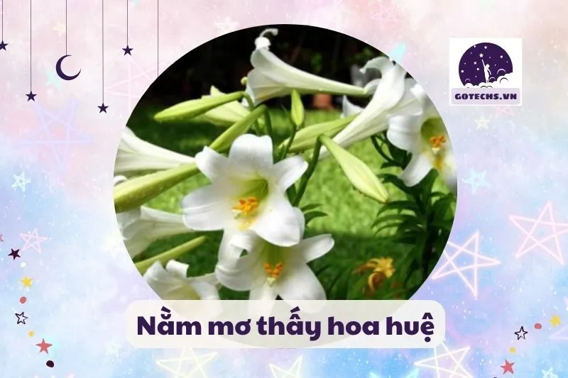 Nằm mơ thấy hoa huệ