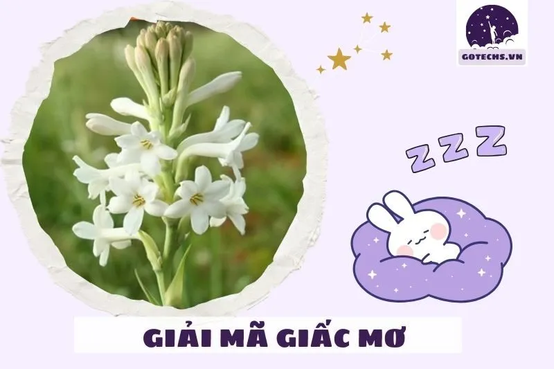 Cách giải thích giấc mơ để tìm kiếm may mắn