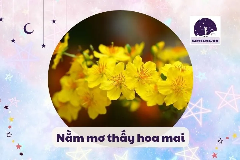 Nằm mơ thấy hoa mai