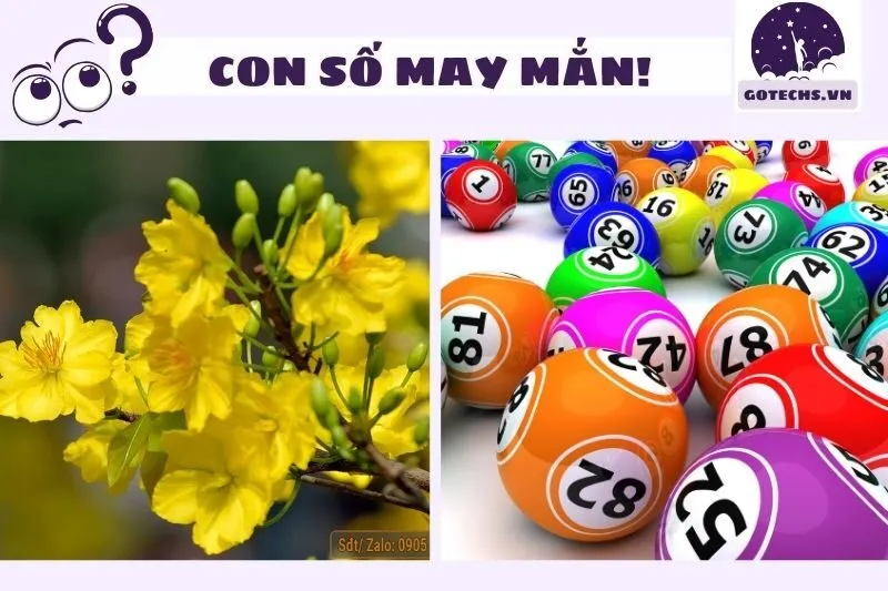 Nằm mơ thấy hoa mai liên quan đến con số may mắn nào?