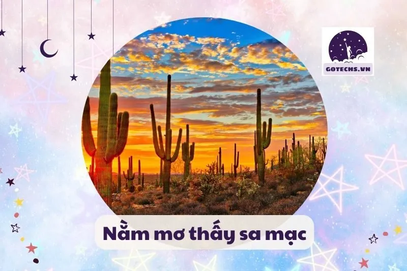 nằm mơ thấy sa mạc