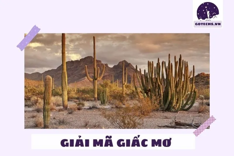 Ý nghĩa của nằm mơ thấy sa mạc