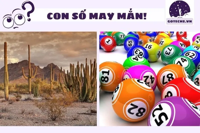 Các con số liên quan đến giấc mơ thấy sa mạc