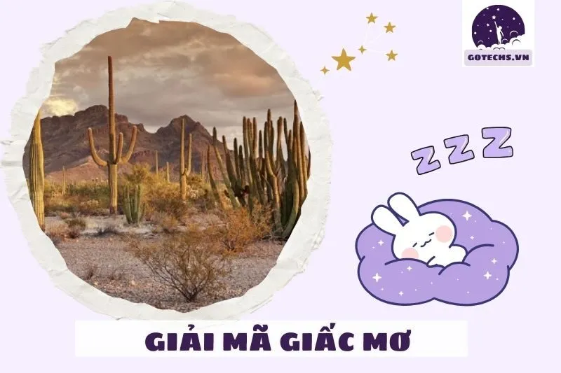 Các trường hợp cụ thể của giấc mơ thấy sa mạc